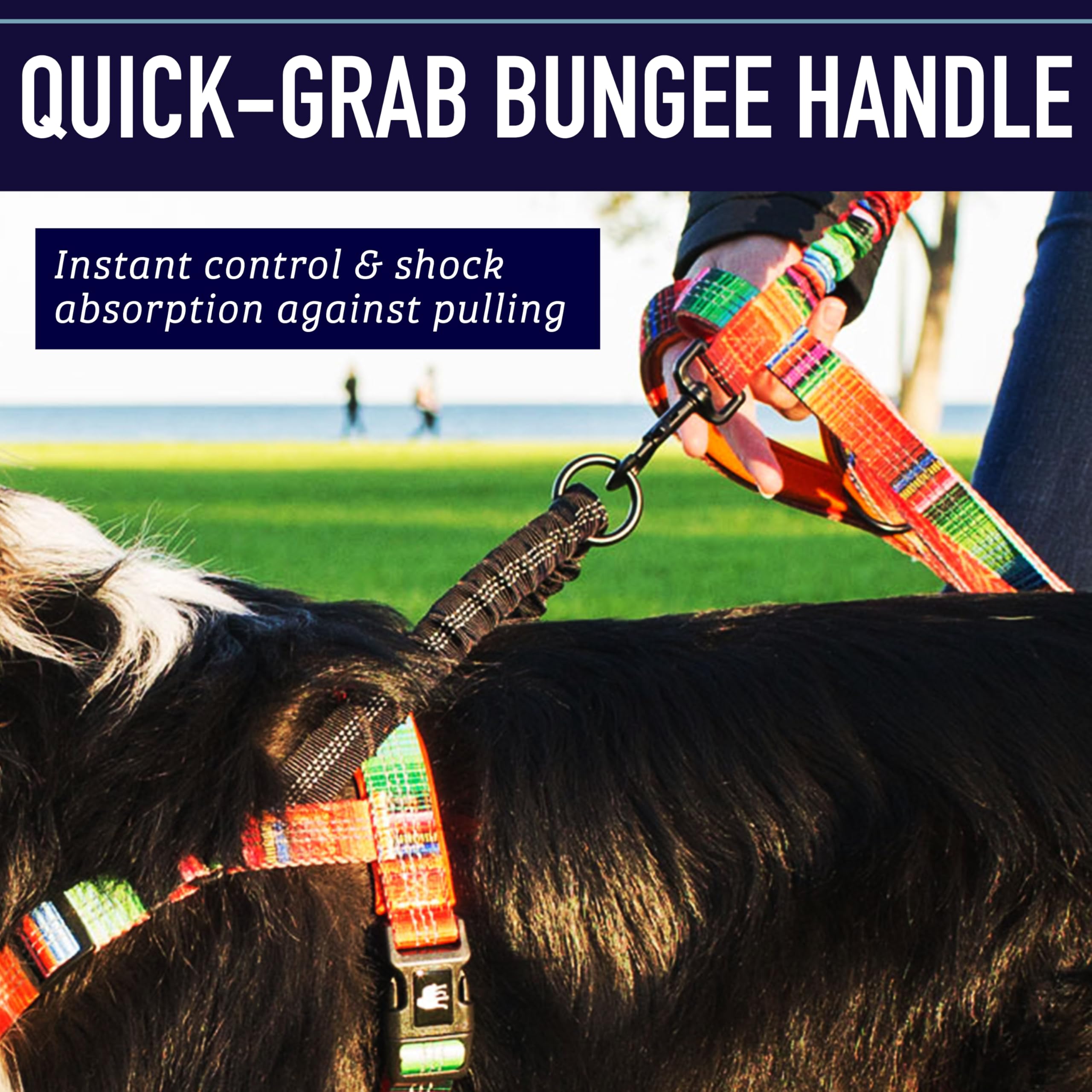 Leash Boss size chart ensures a secure, comfortable fit across four sizes