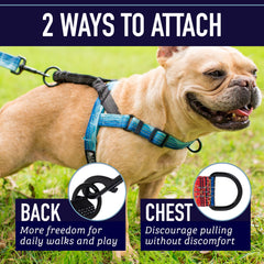 Leash Boss soft neoprene interior provides comfortable, snug fit.
