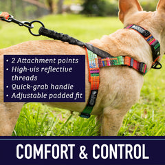 Leash Boss space-pattern reflective harness boosts nighttime visibility and safety