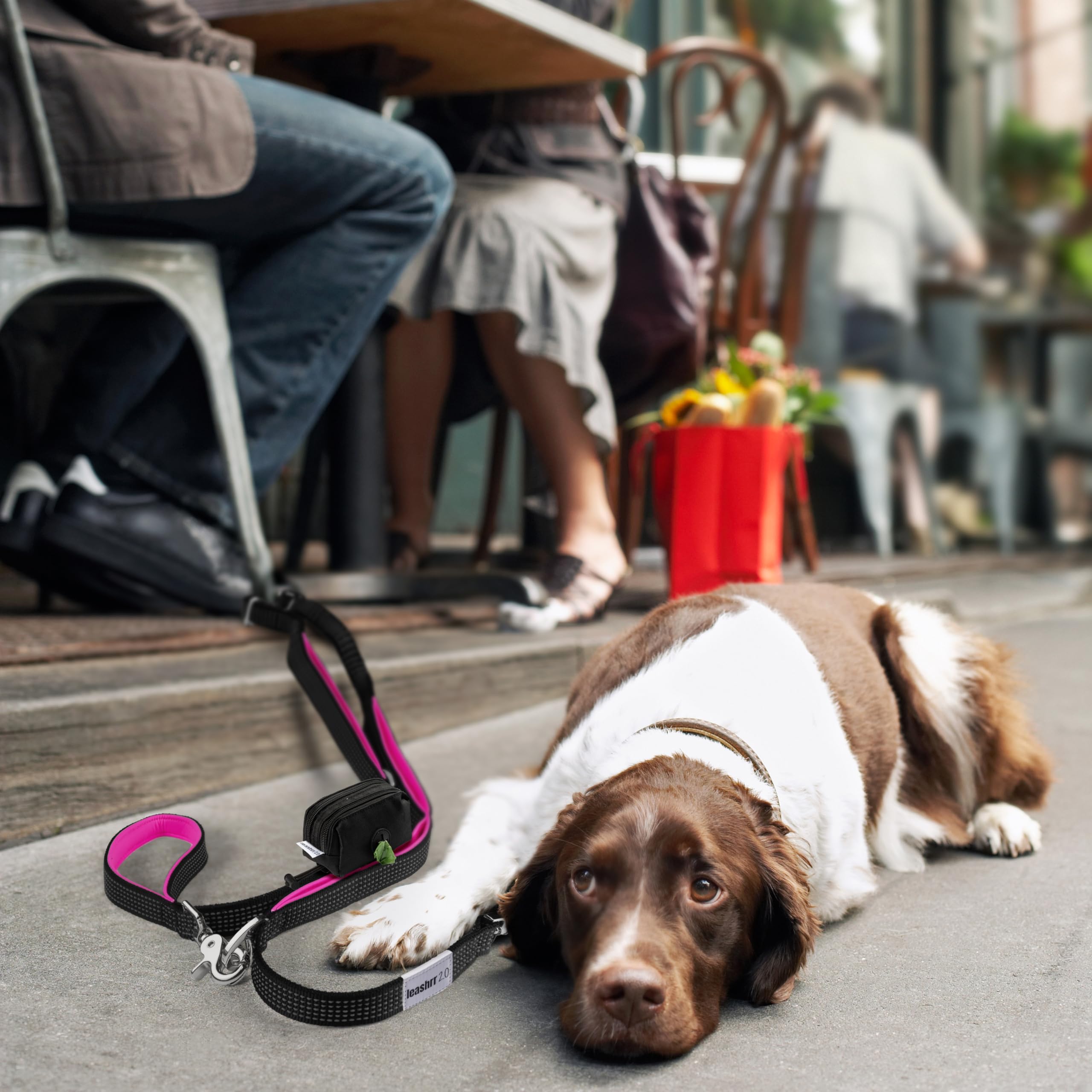 Leashrr 2.0 ideal for large dogs on urban and trail adventures
