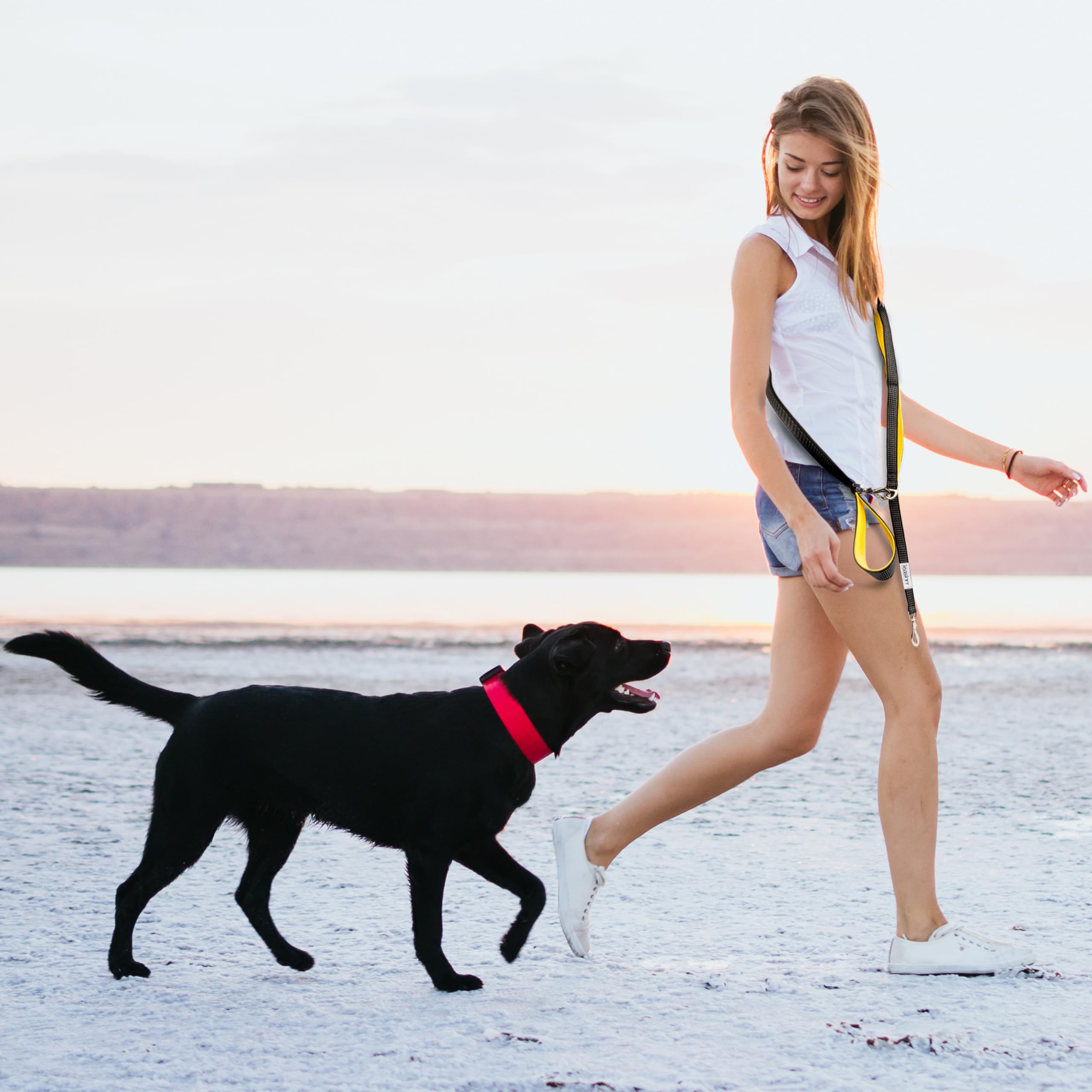 Leashrr 2.0 multiple clips and rings offer versatile leash setups