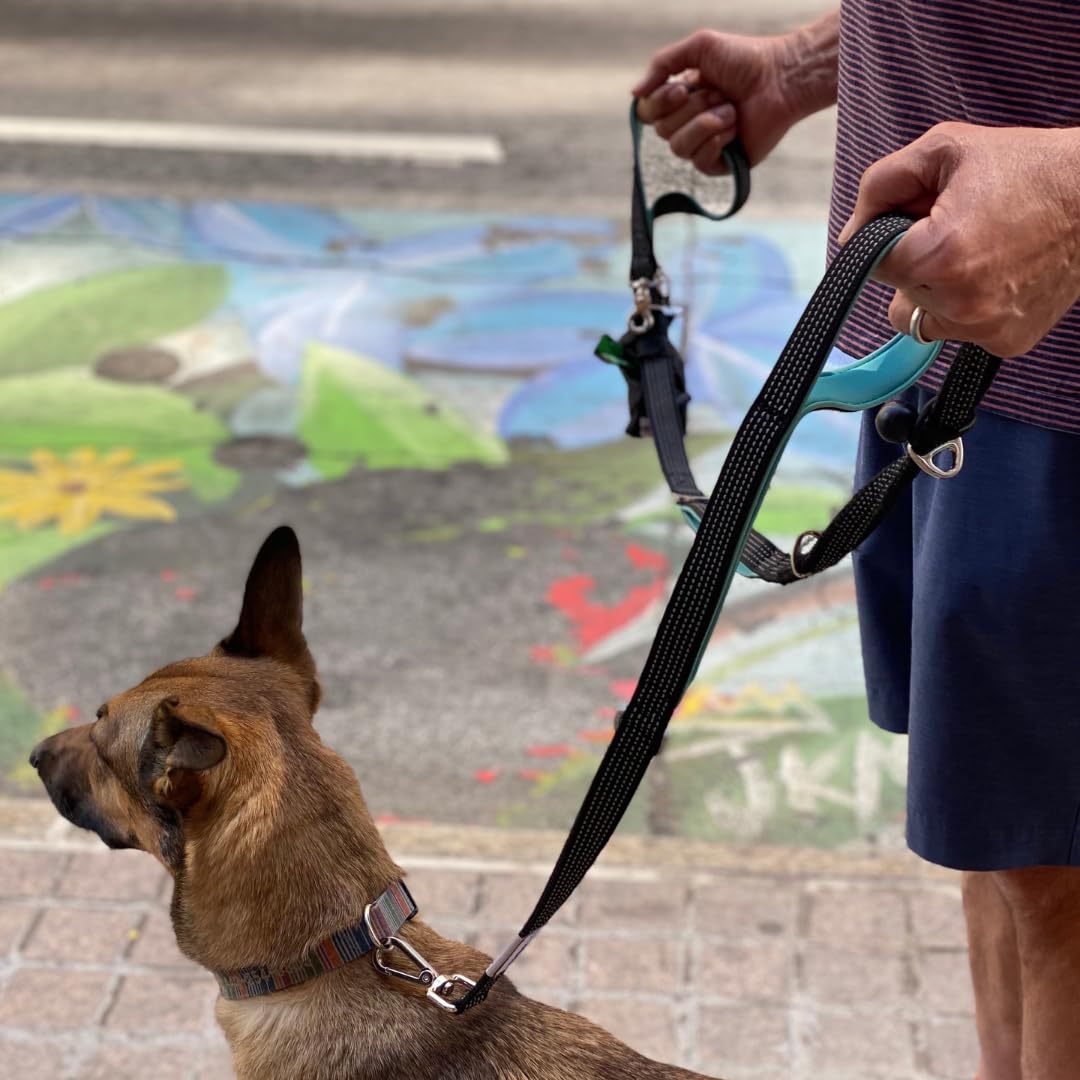 Leashrr 2.0 ultra reflective stitching enhances night visibility during walks