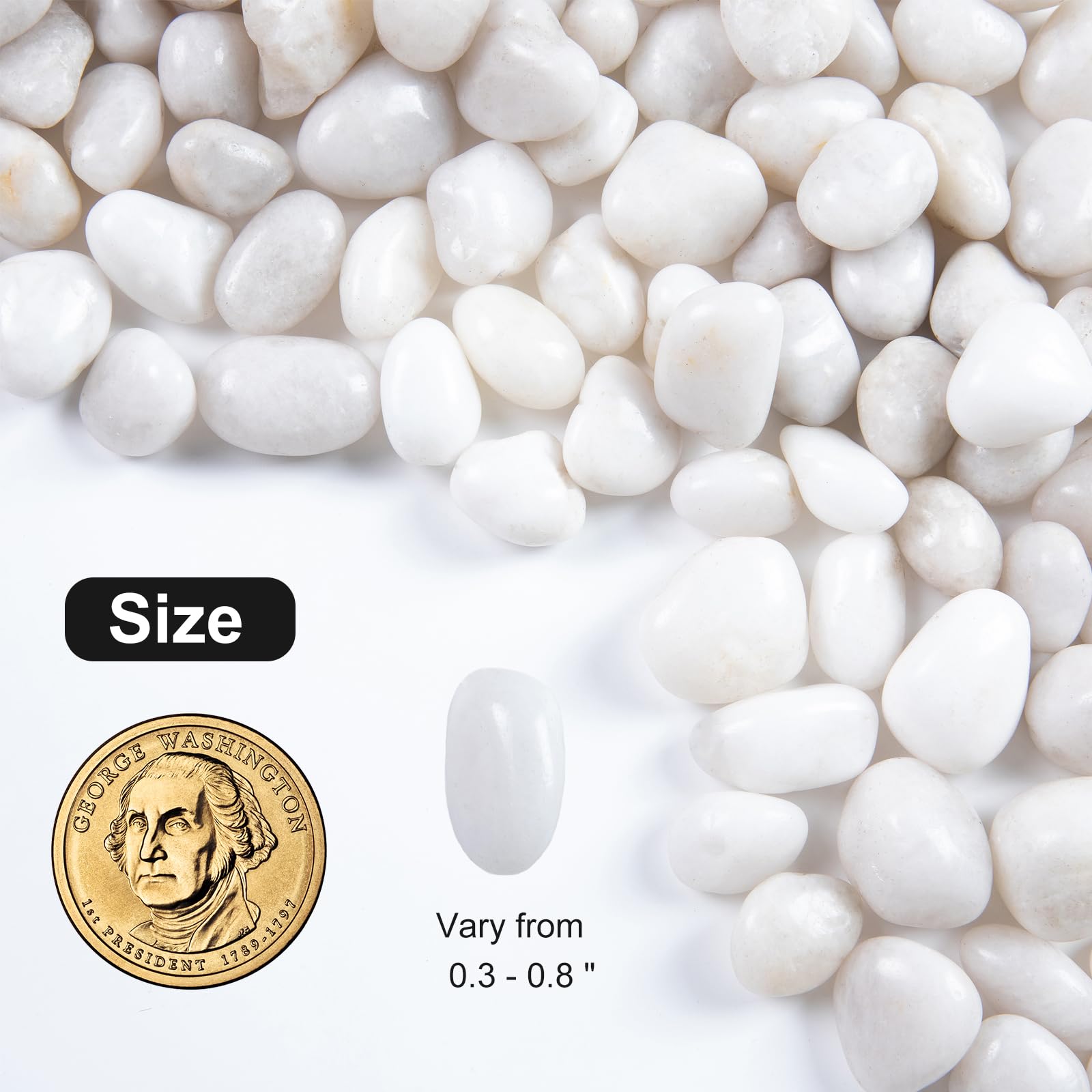 Lechloris white river rocks for aquarium decor provide a pristine, safe decorative substrate.