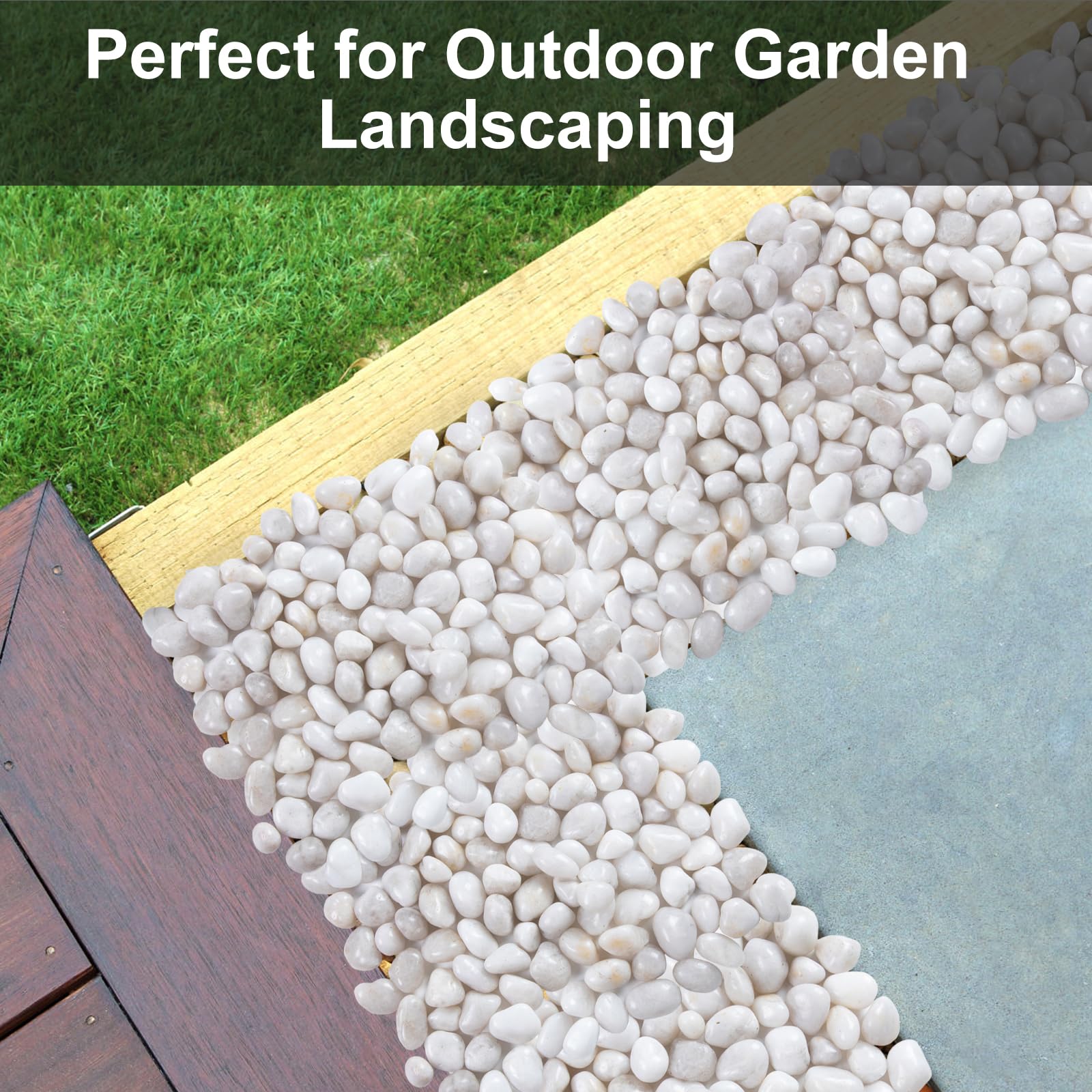 Lechloris white river rocks for terrariums create naturalistic, smooth-edged highlights.