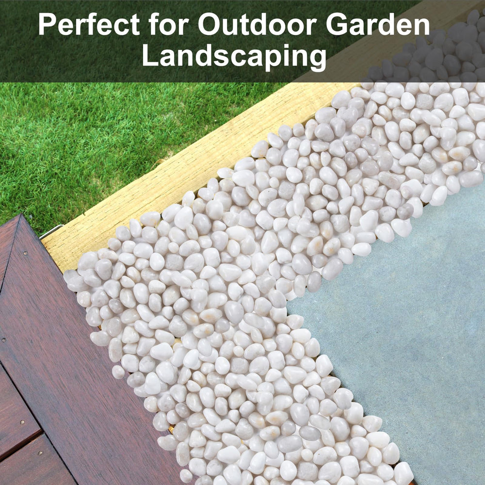 Lechloris white river rocks for terrariums create naturalistic, smooth-edged highlights.