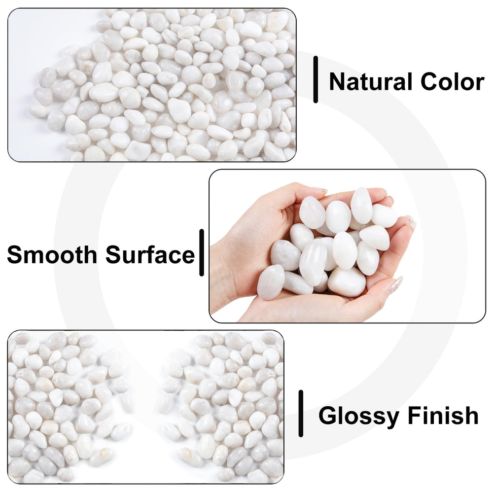 Lechloris white river rocks for planters support moisture retention and plant stability.