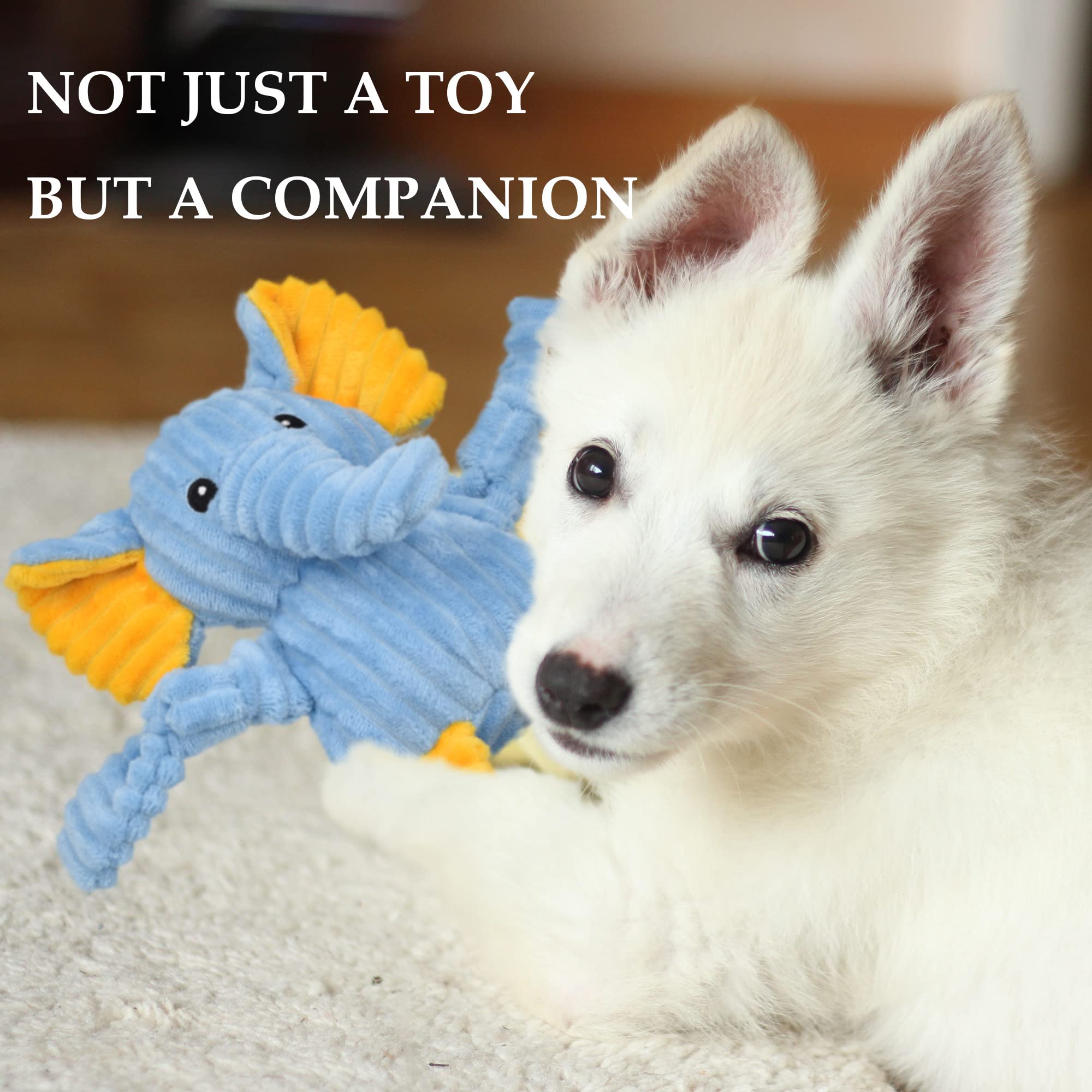 LECHONG 5-pack dog toys bundle: assorted shapes for versatile indoor and outdoor fun.