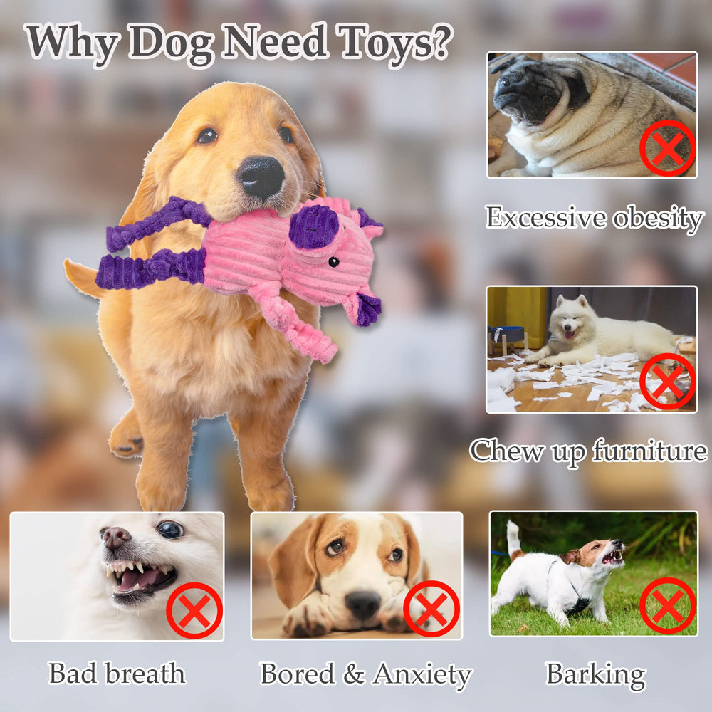 LECHONG 5-pack dog toy frog: vibrant toy invites curious nibbles and interactive games.