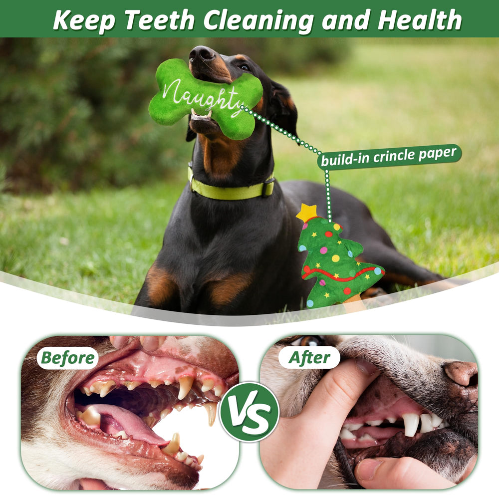 LECHONG Green Bone toy with plush surface for gentle chewing
