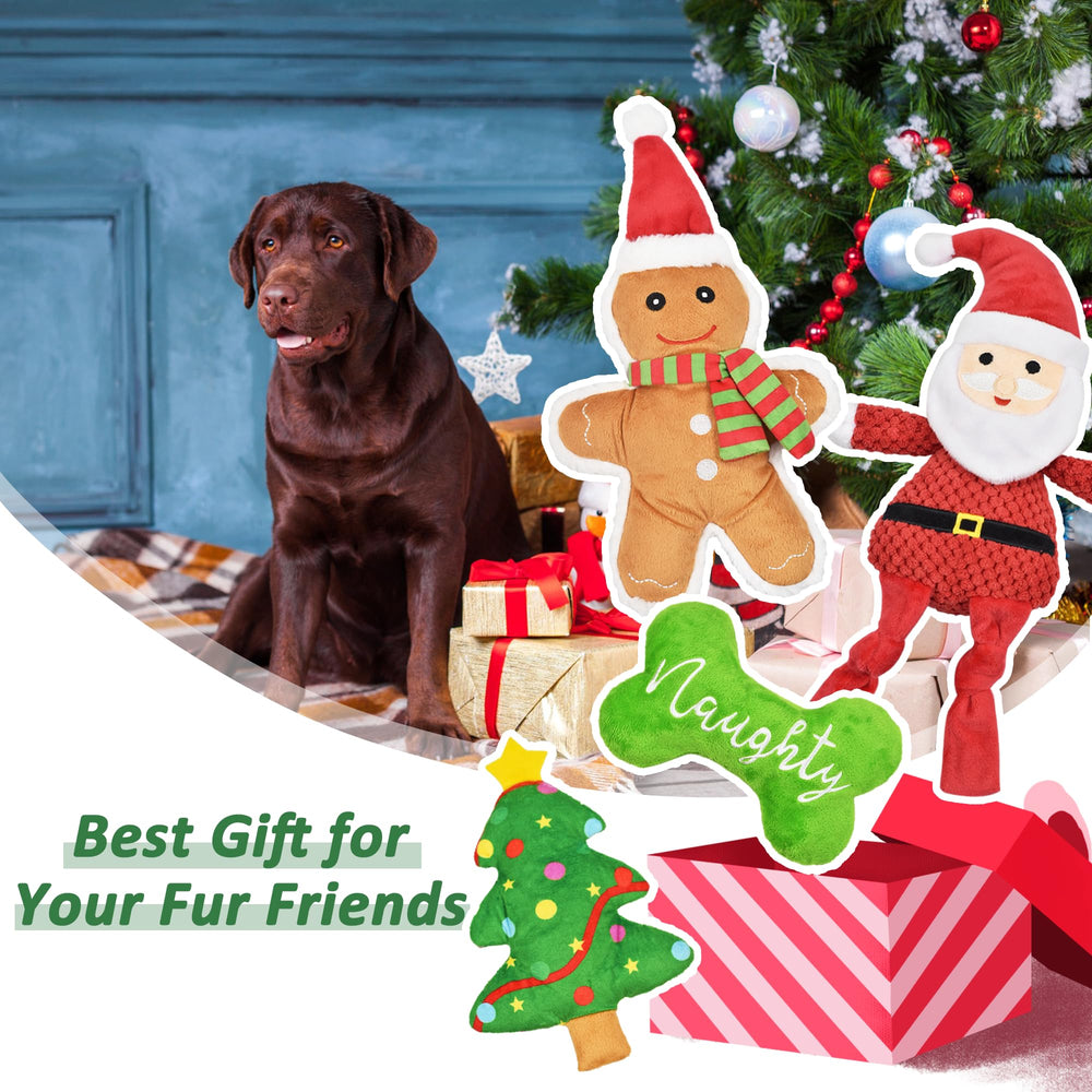 LECHONG Gift-ready packaging for easy holiday gifting