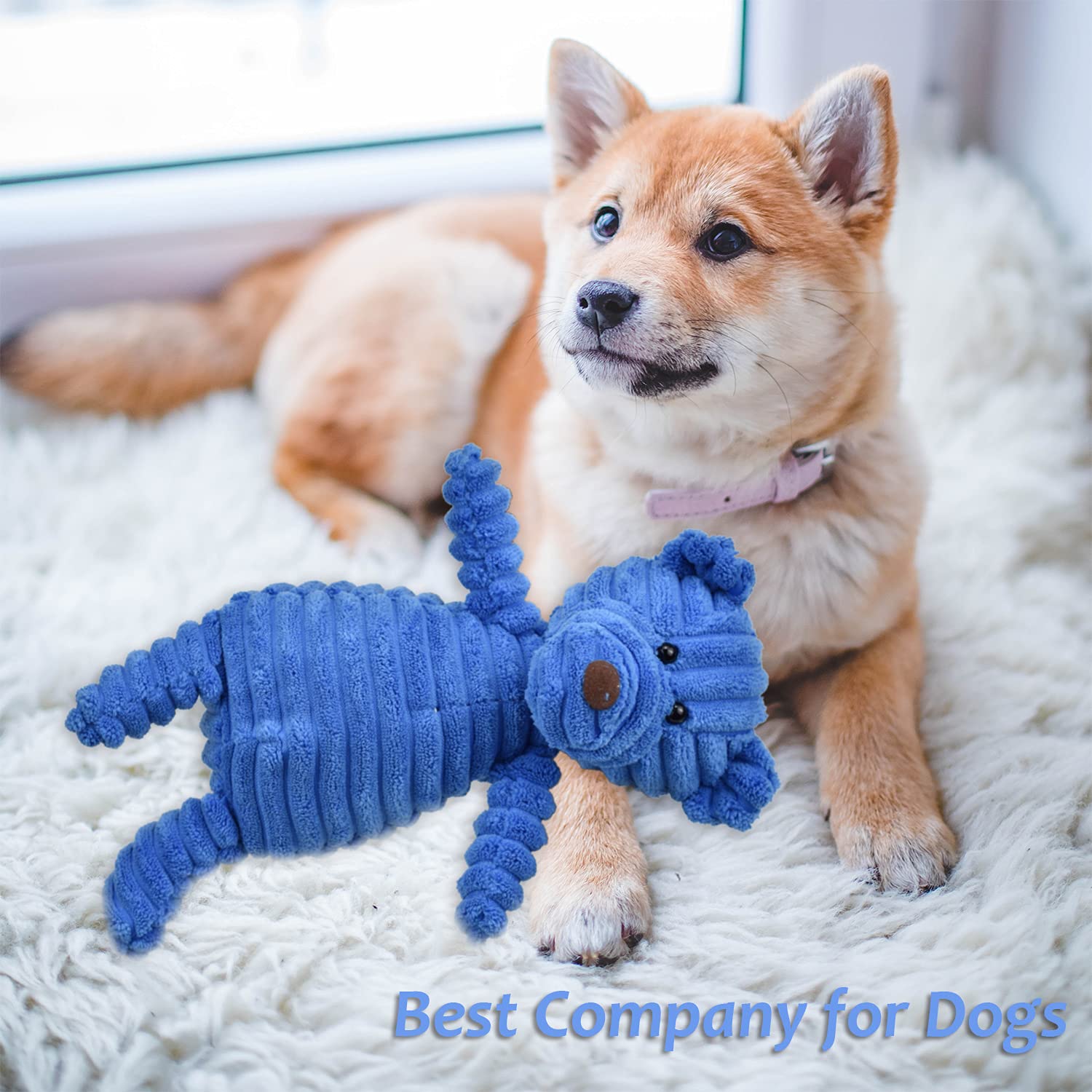LECHONG embroidered-eyes dog toy safety-focused design