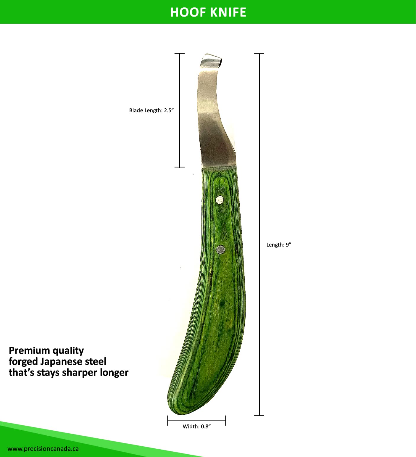 LeCzar hoof knife blade close-up shows a sharp edge for precise cuts