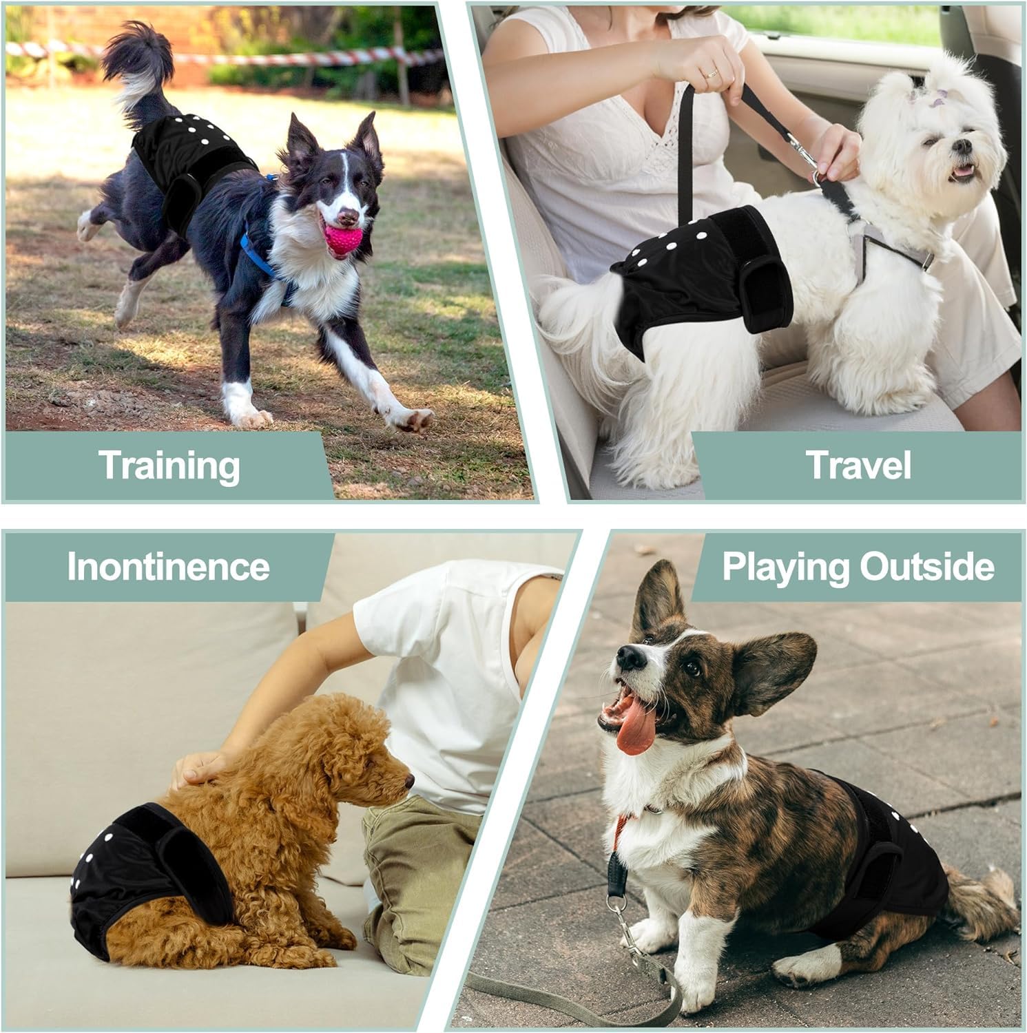Leekalos dog diaper adjustable fit showcases flexible sizing for confident containment.