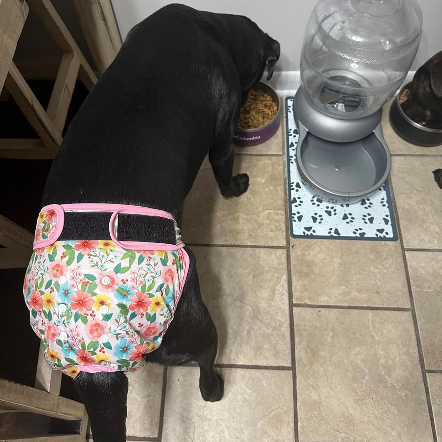 Leekalos dog-diapers XXL Flora ideal for overnight use and incontinence coverage