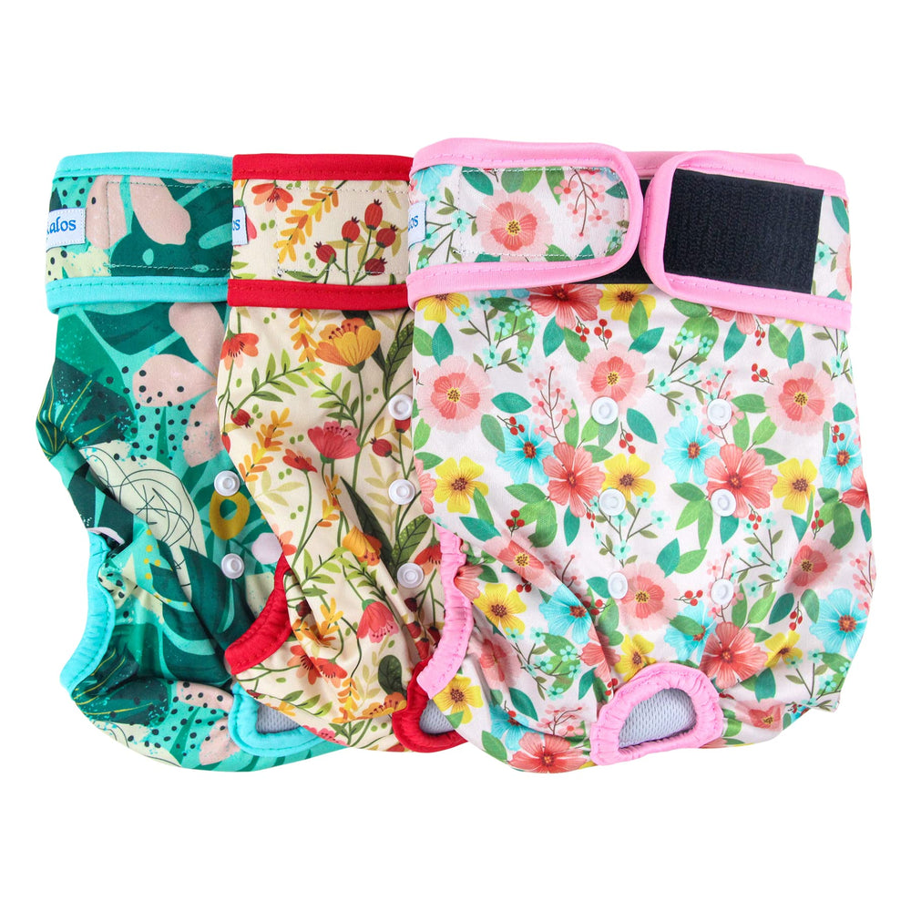 Leekalos reusable dog diapers in Flora color bundle for versatile incontinence management.