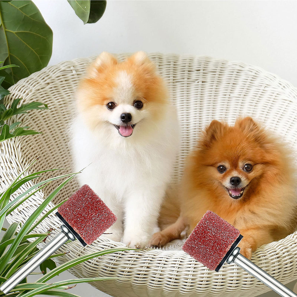 Leelosp nail smoothing in action for gentle, low-stress at-home pet grooming.