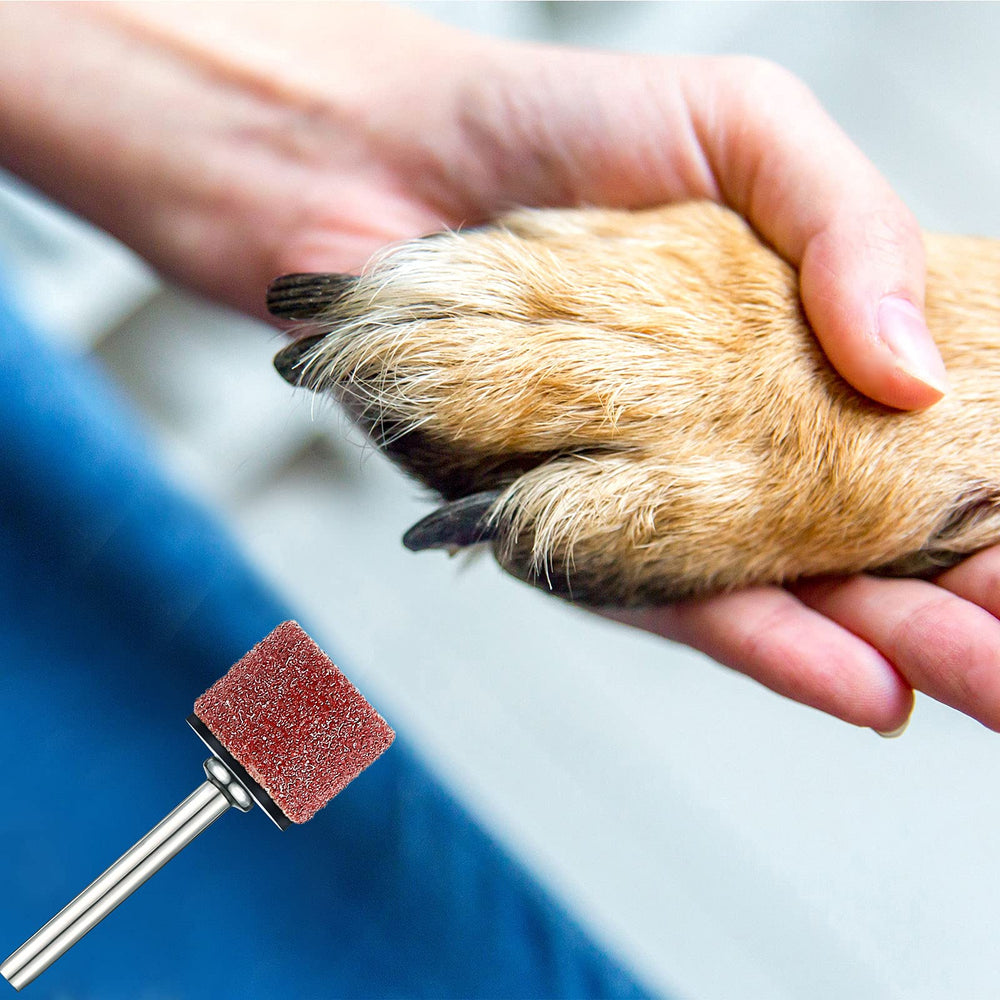 Leelosp pet grooming supplies kit used by dog owners for routine claw care.