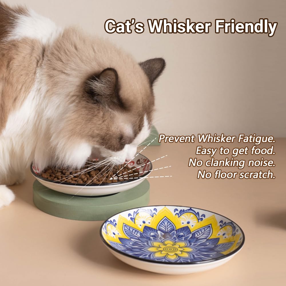 Leewheel multicolor-inside bowls with bright patterns boost mealtime appeal.