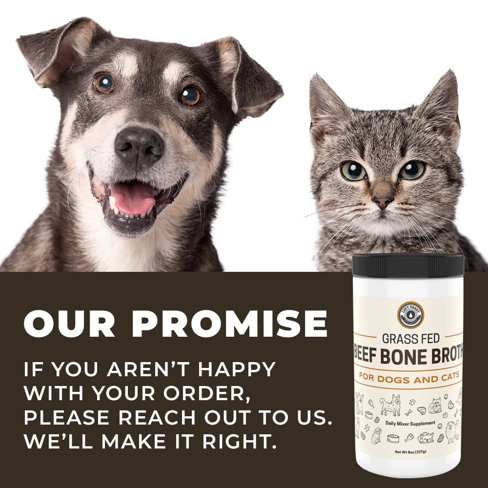 Left Coast Performance bone broth powder mixed with kibble for tastier meals.