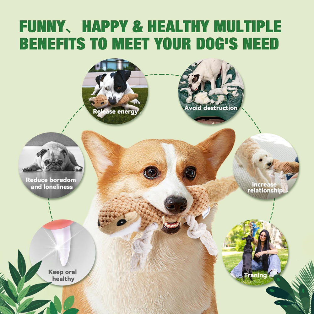 LEGEND SANDY five-toy chew set for small to medium breeds