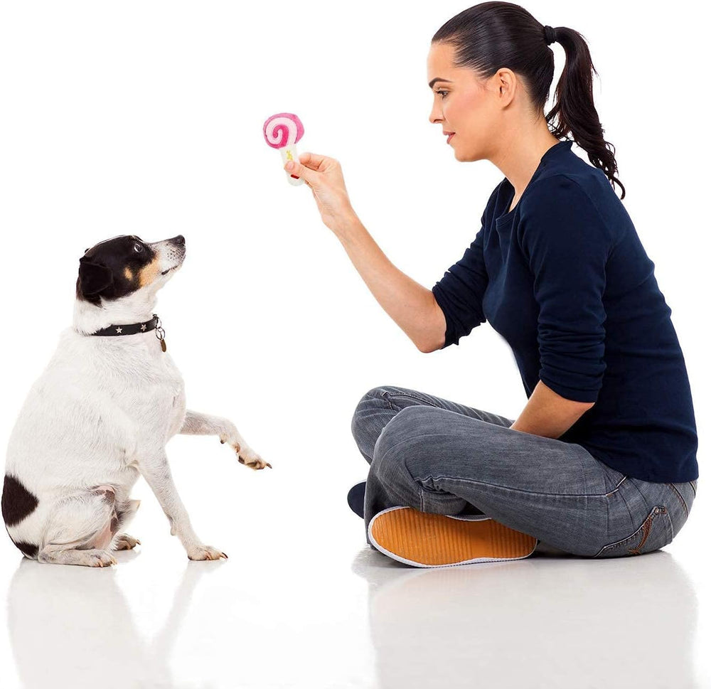 LEGEND SANDY eggplant toy with squeak for interactive dog games