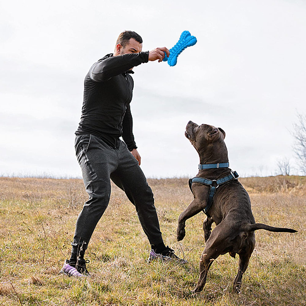 LEGEND SANDY juguete masticable para sesiones de entrenamiento y ejercicio