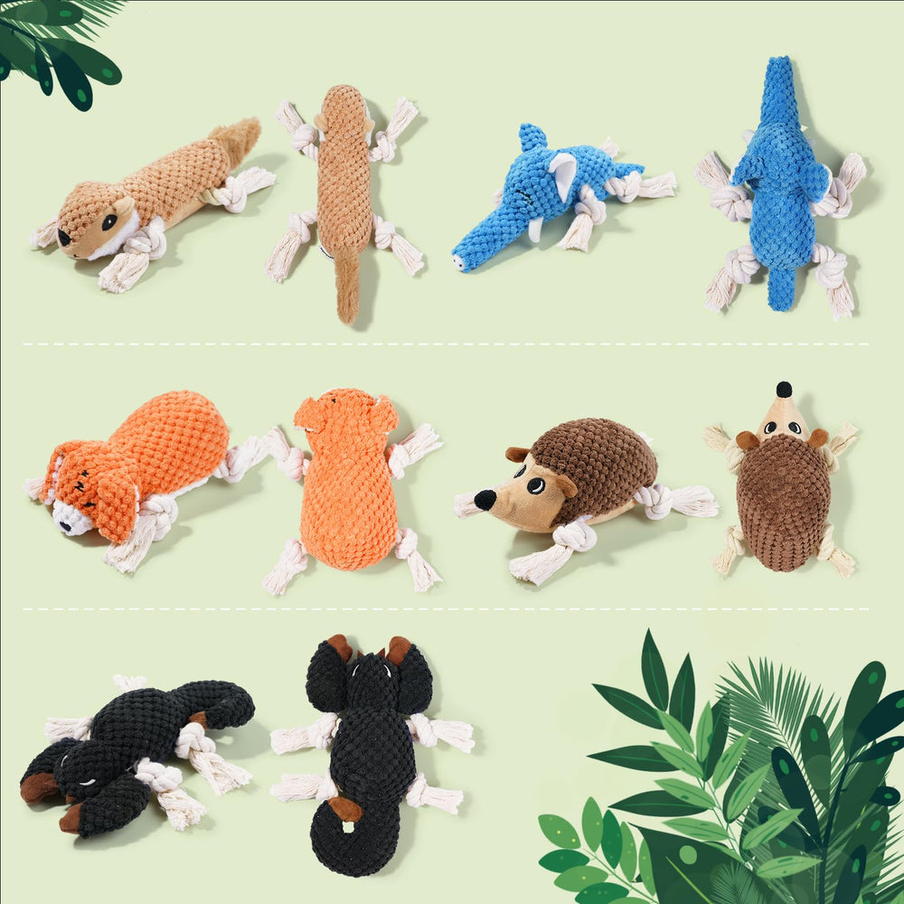 LEGEND SANDY boxed toy bundle image for easy storage and play