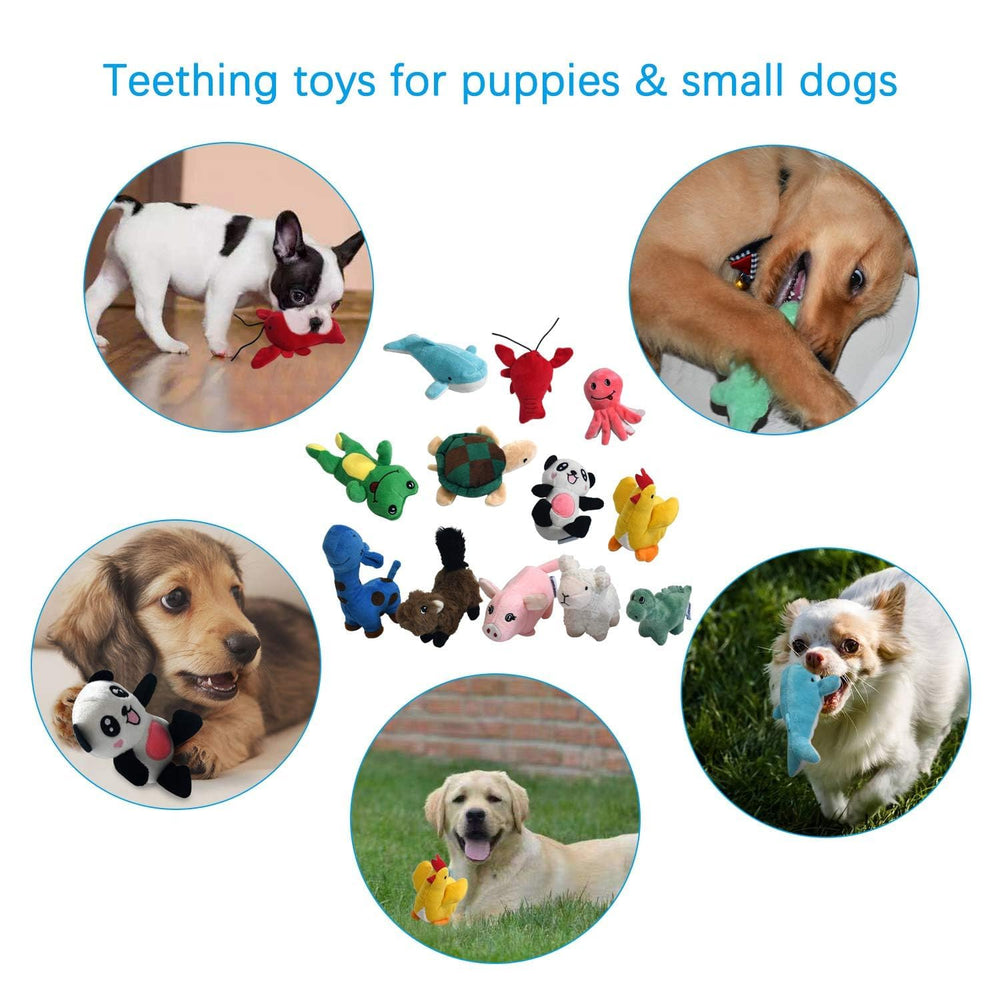 LEGEND SANDY lamb plush squeaker promotes friendly chewing and bonding.