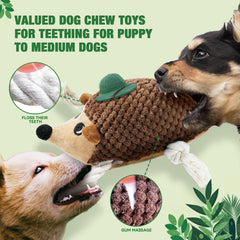 LEGEND SANDY squirrel squeaky dog toy designed for engaging playtime