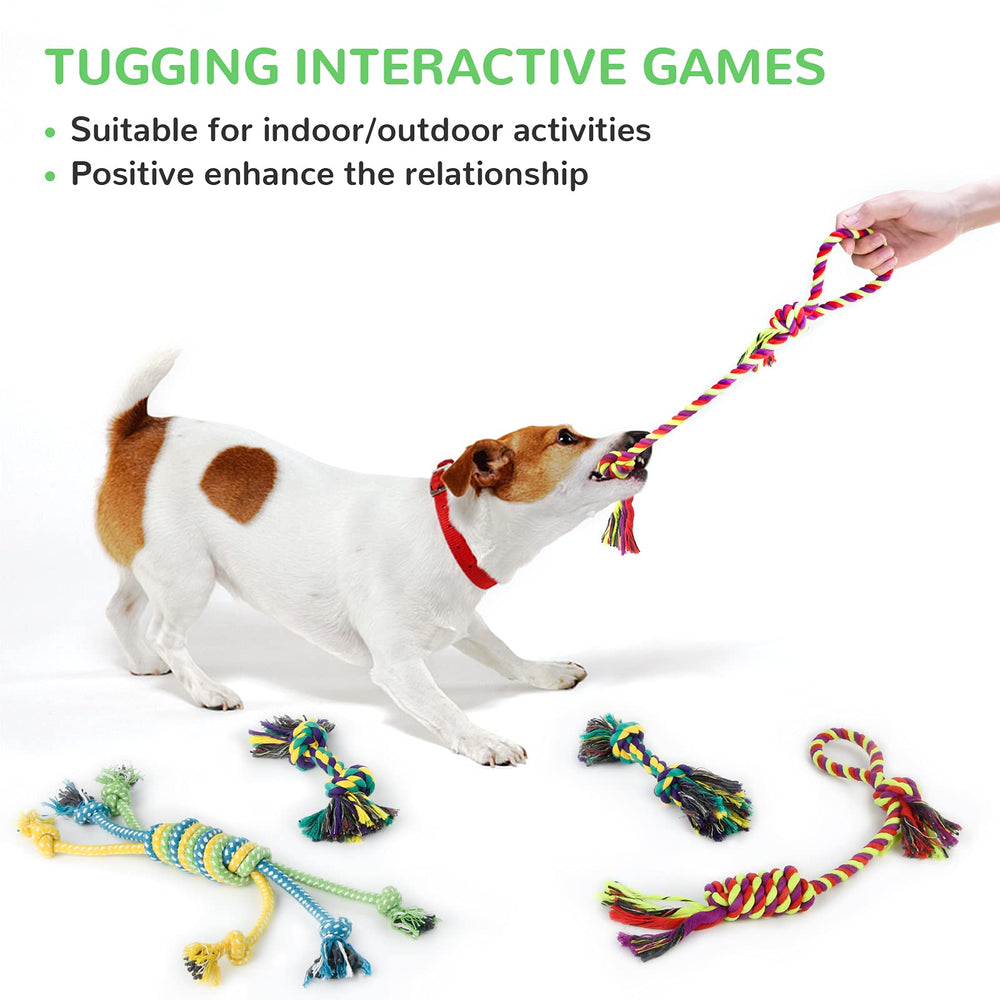 LEGEND SANDY hedgehog squeaky toy provides steady entertainment
