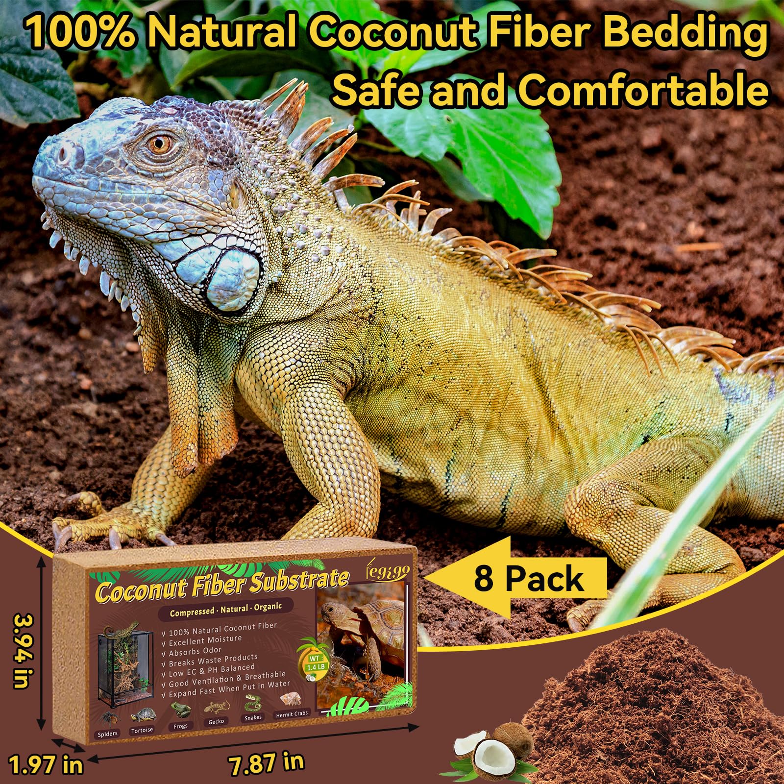 Expanded coir bricks after soaking for terrarium substrate