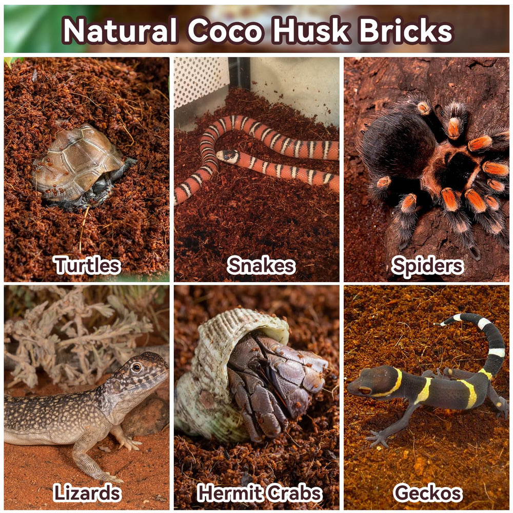 Odor-absorbing Legigo coconut fiber bedding in a terrarium