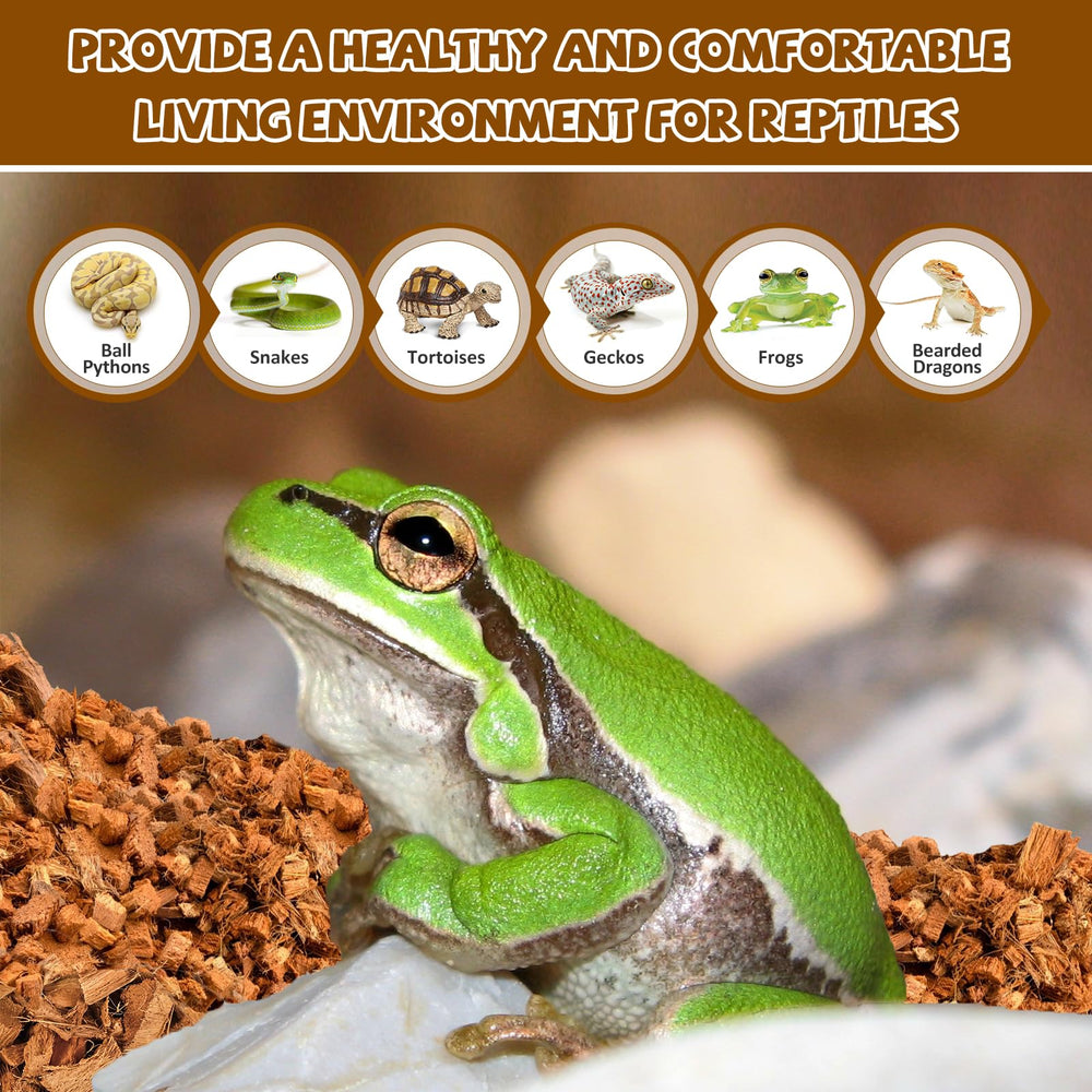 Legigo terrarium-cleaning-ease allows easy spot-cleaning and rehydration.