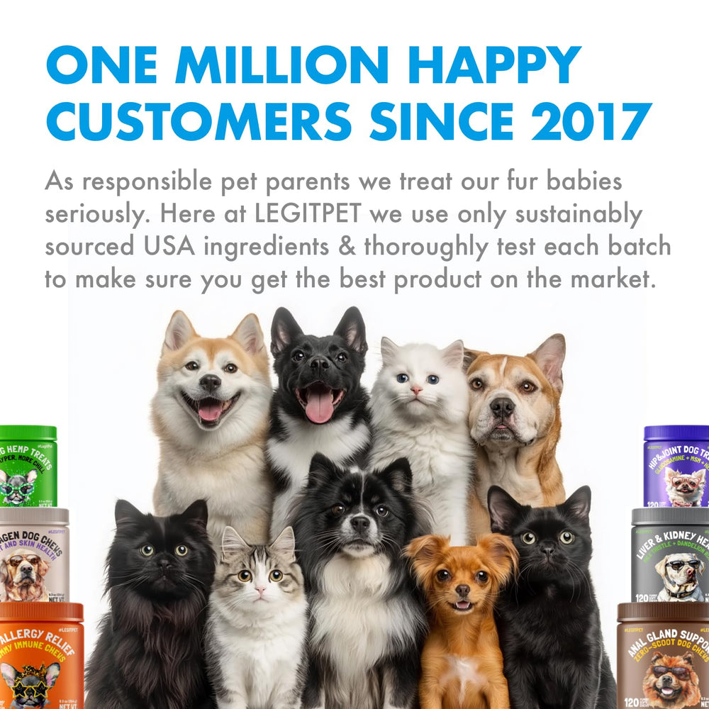 LEGITPET daily dosing guide visual for consistent pet nutrition