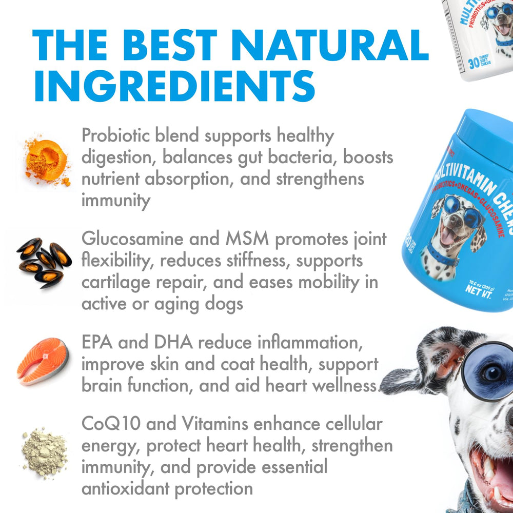 LEGITPET heart-brain health visualization with omega fats for cognition and circulation