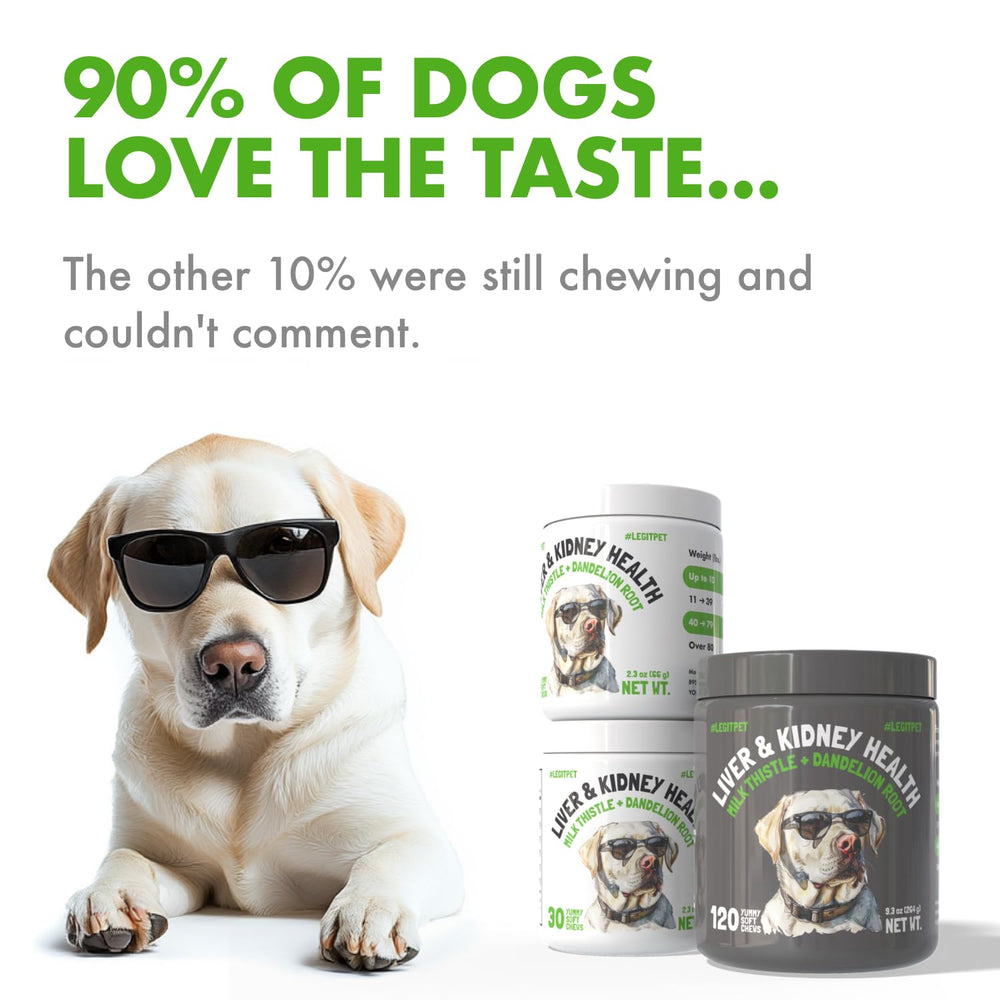 LEGITPET dog enjoying a treat time with soft chews during daily routine