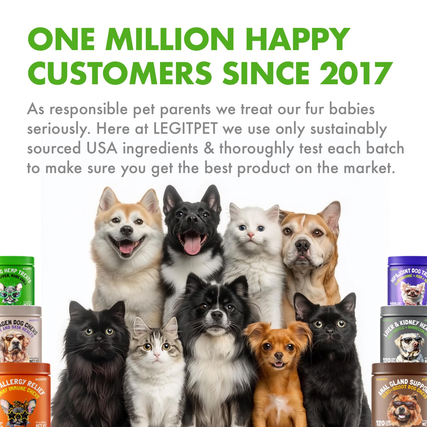 LEGITPET senior dog wellness chews designed for gentle daily support