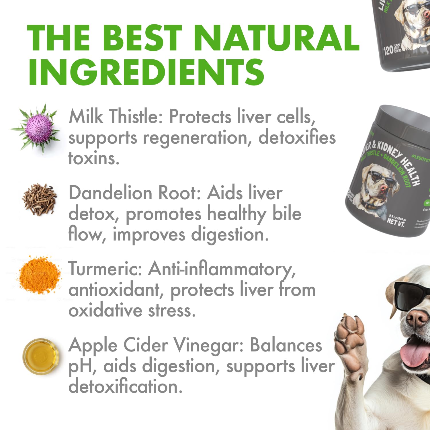 LEGITPET turmeric curcumin natural supplement highlighted for antioxidant support