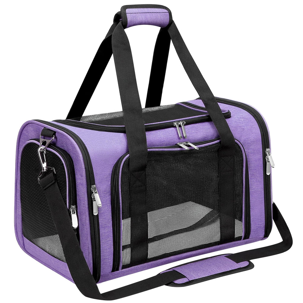 LEHNI soft-sided carrier front view shows compact travel-ready design for pets