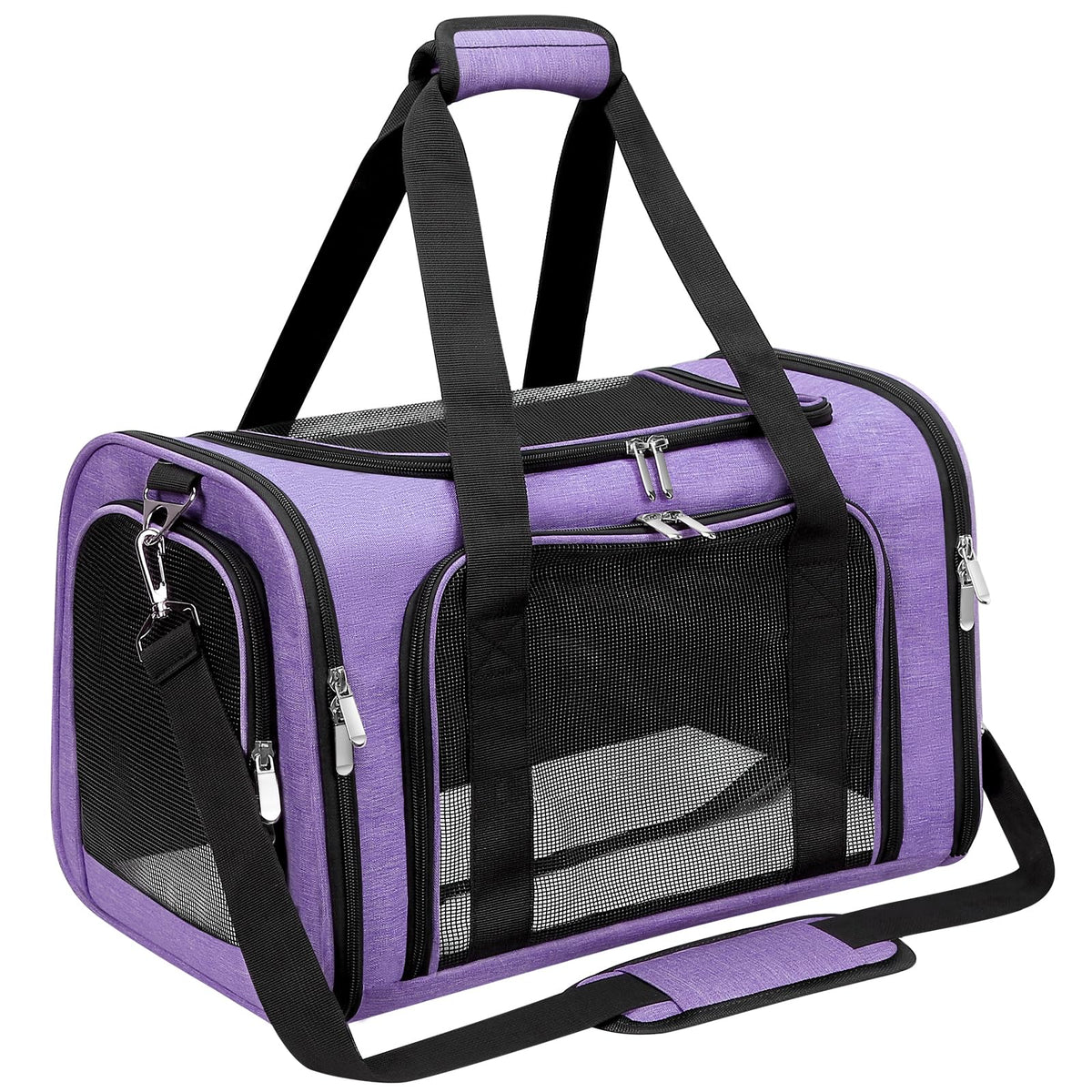 LEHNI soft-sided carrier front view shows compact travel-ready design for pets