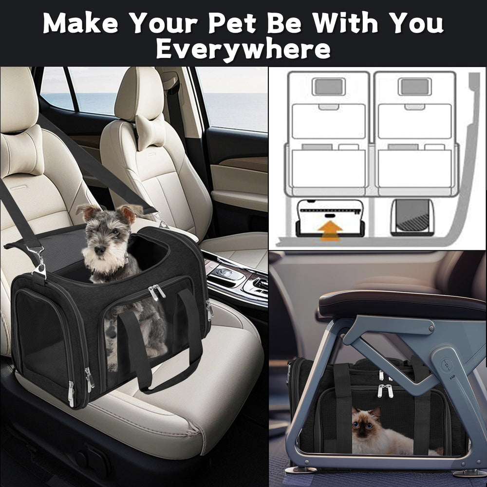 LEHNI soft-sided carrier safety belt attachment keeps pet secure in car.