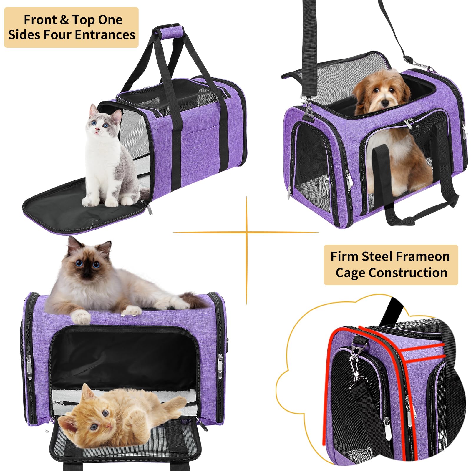 LEHNI soft-sided carrier under-seat fit demonstrates cabin-friendly travel compatibility