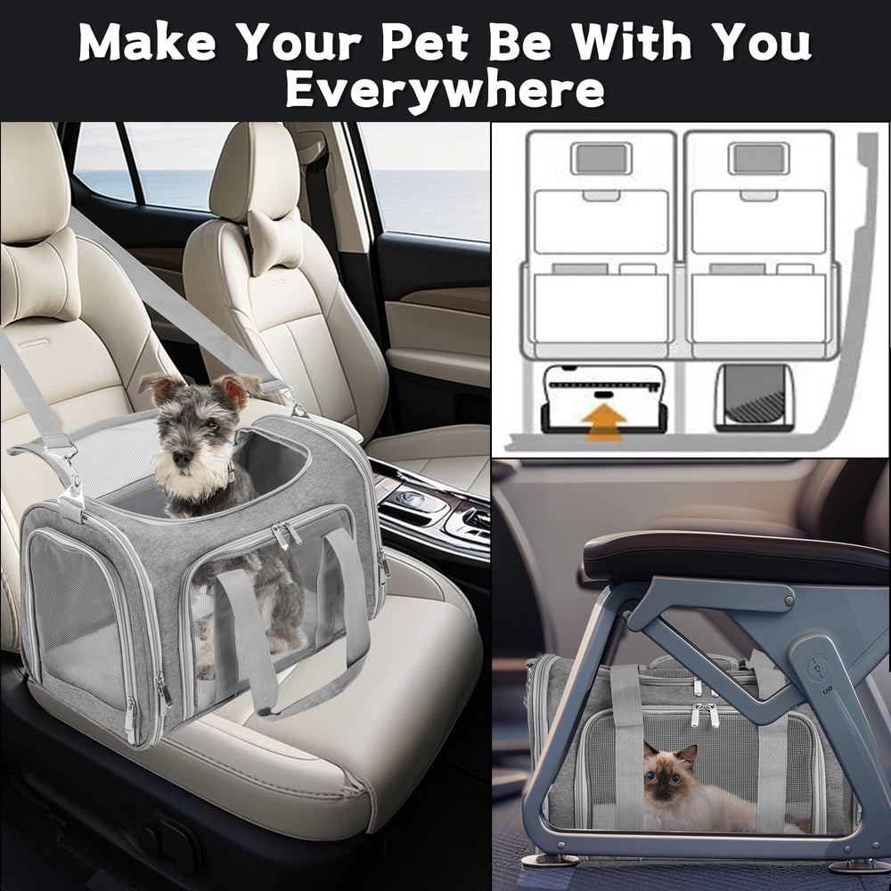 LEHNI carrier front pocket stores toys and treats for quick access.