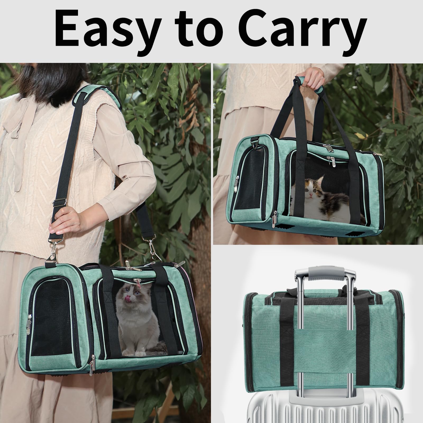 LEHNI adjustable shoulder strap and safety belt option simplify secure travel
