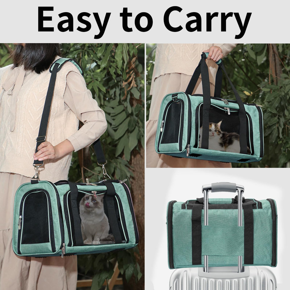 LEHNI adjustable shoulder strap and safety belt option simplify secure travel