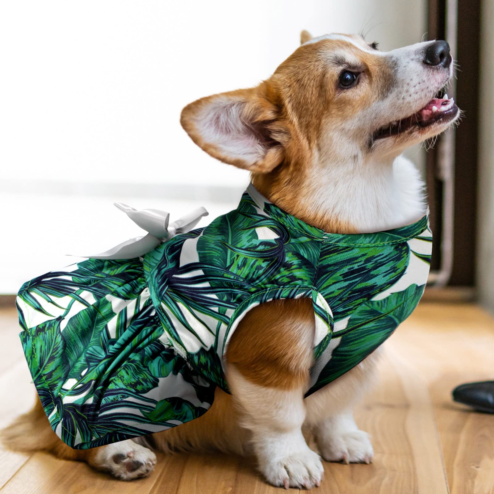 LEIFIDE Hawaii dog dress Tropical Bowknot decor for parties and play