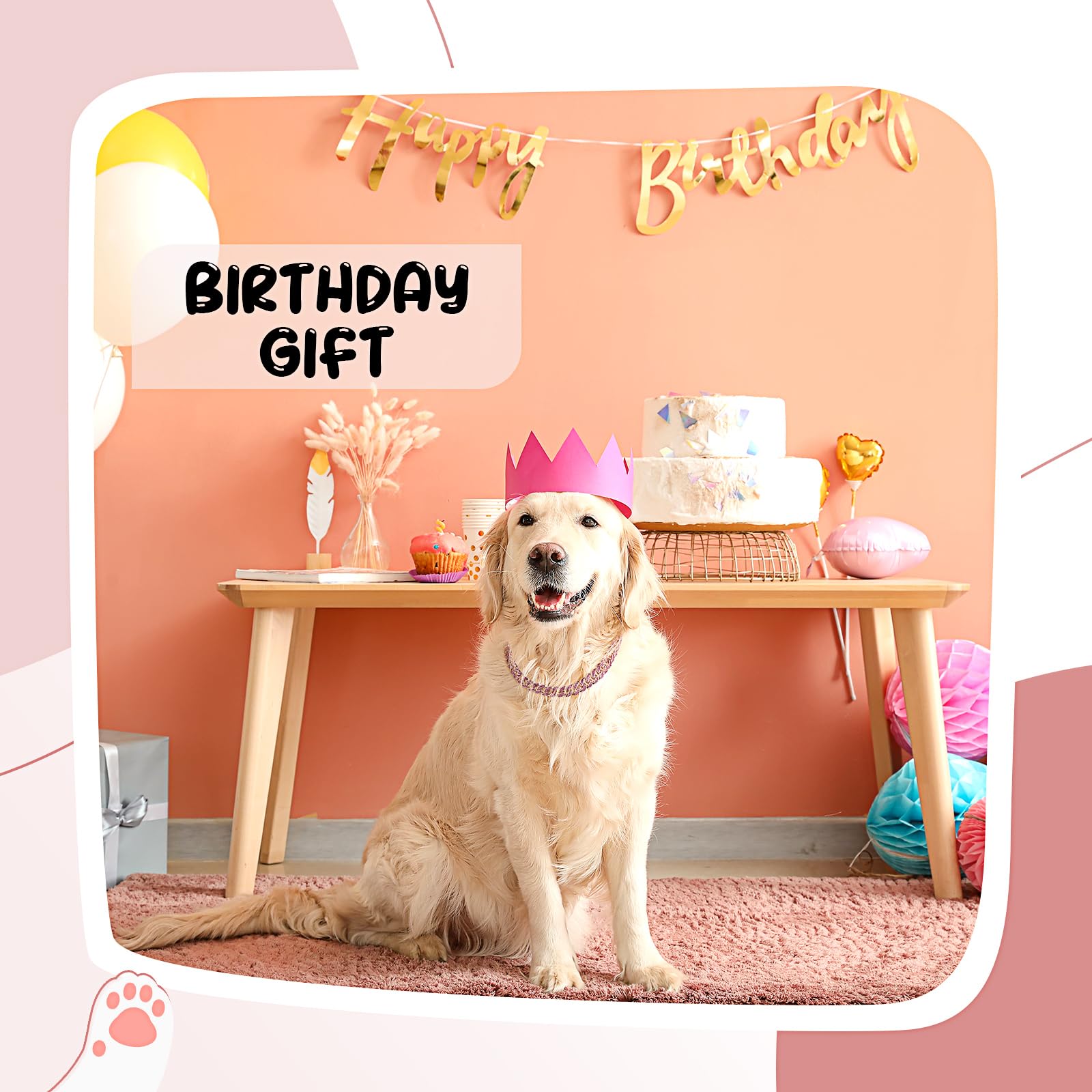 LEIFIDE stylish pet collar enhances cute dress-up moments at events.