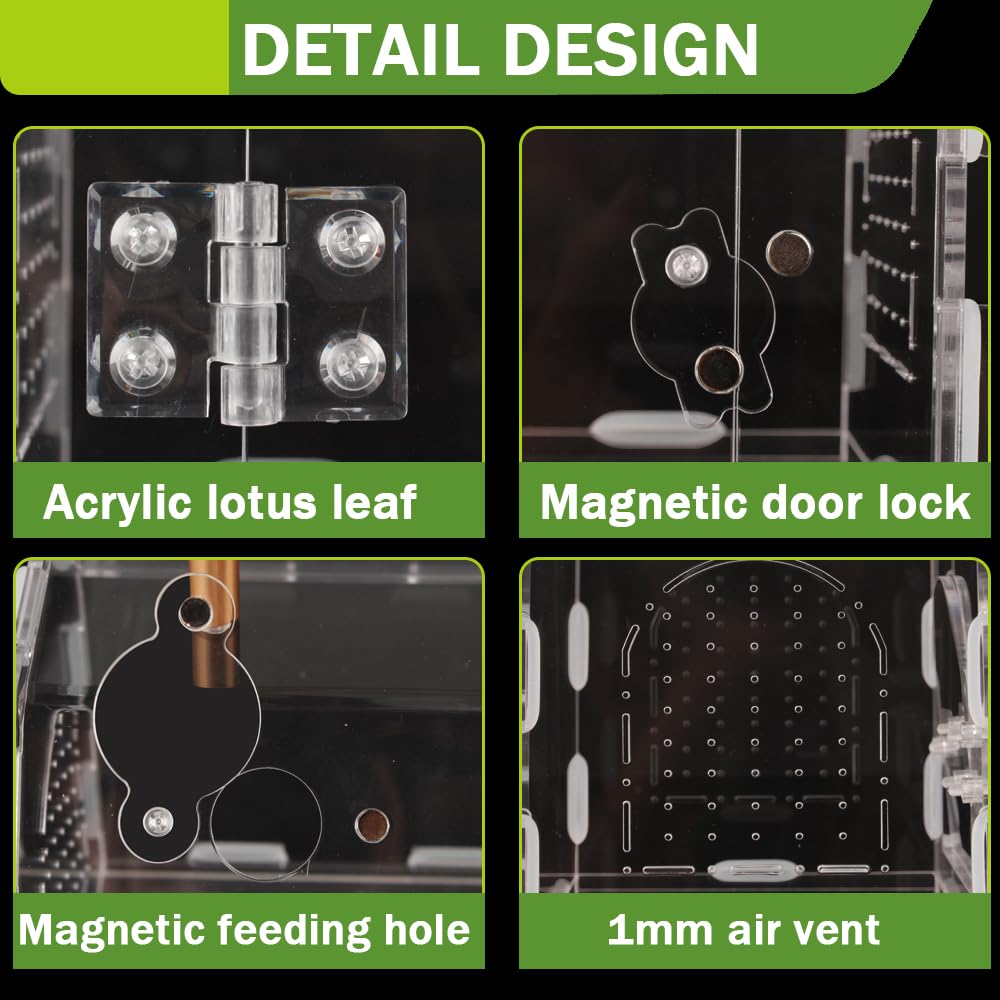 LEIZHENZI all-in-one kit ready for quick setup and active viewing