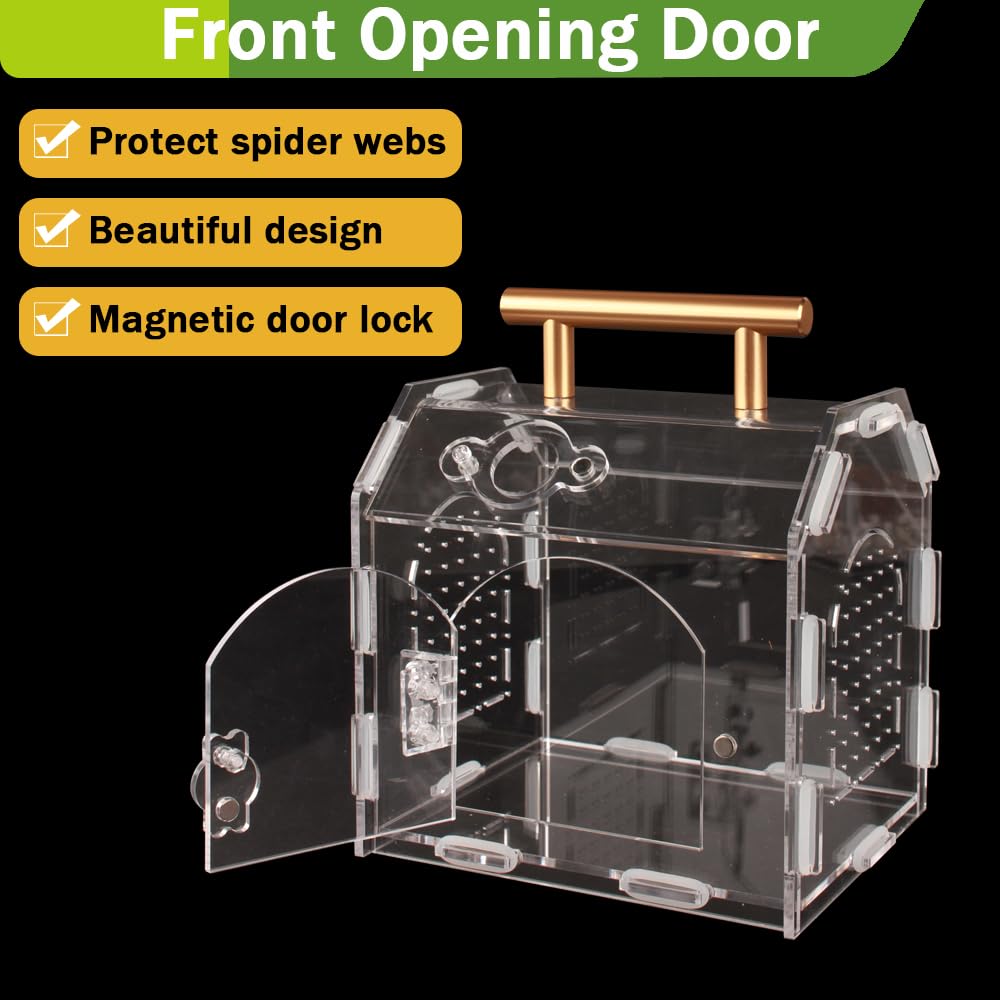 LEIZHENZI multi-pet habitat setup suitable for spiders, reptiles, and insects