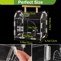 LEIZHENZI premium acrylic terrarium 360-degree view for monitoring tarantulas and insects